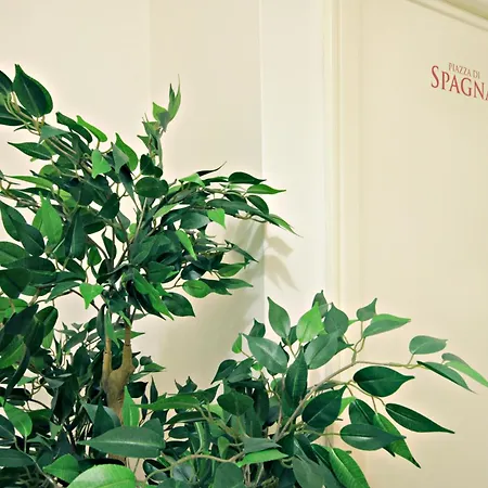 Bed & Breakfast Le Piazze Di