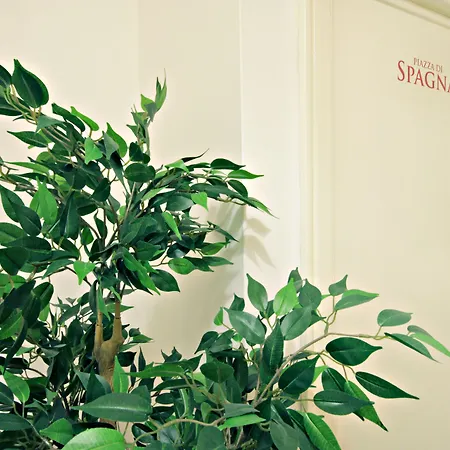 Le Piazze Di Bed & Breakfast Rome